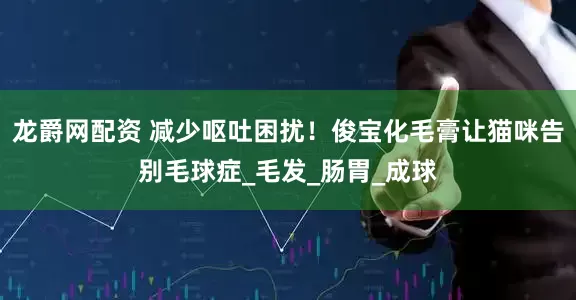 龙爵网配资 减少呕吐困扰！俊宝化毛膏让猫咪告别毛球症_毛发_肠胃_成球