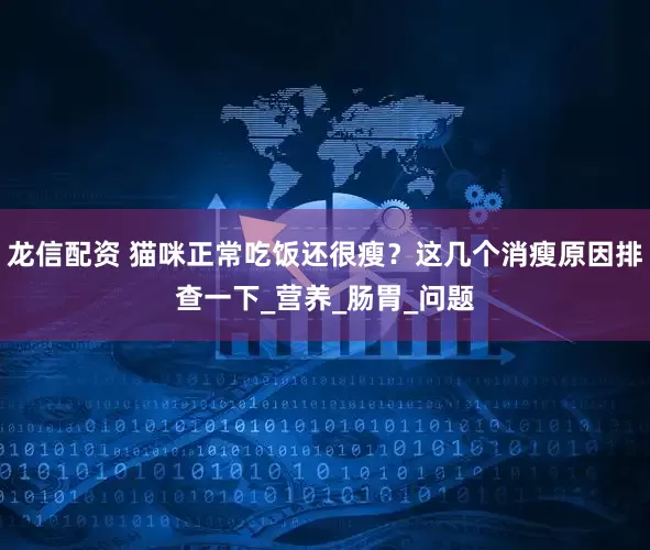 龙信配资 猫咪正常吃饭还很瘦？这几个消瘦原因排查一下_营养_肠胃_问题