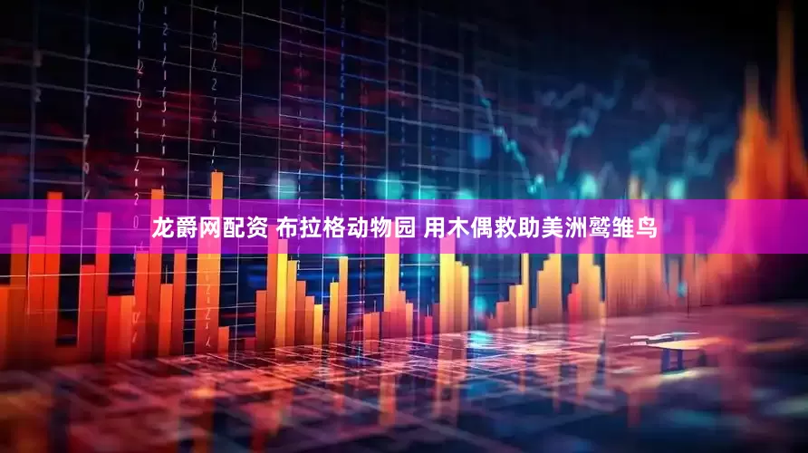 龙爵网配资 布拉格动物园 用木偶救助美洲鹫雏鸟