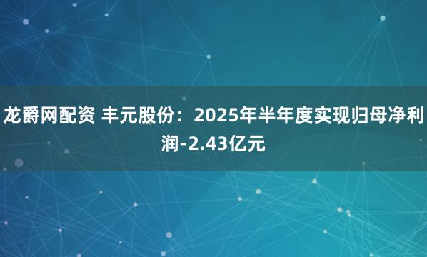 龙爵网配资 丰元股份：2025年半年度实现归母净利润-2.43亿元
