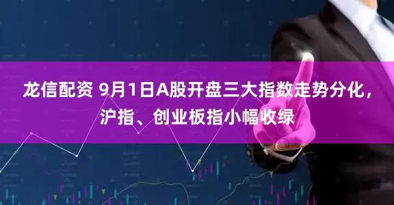龙信配资 9月1日A股开盘三大指数走势分化，沪指、创业板指小幅收绿
